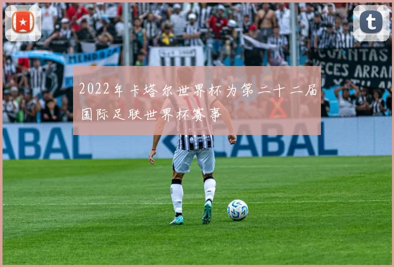 2022年卡塔尔世界杯为第二十二届国际足联世界杯赛事