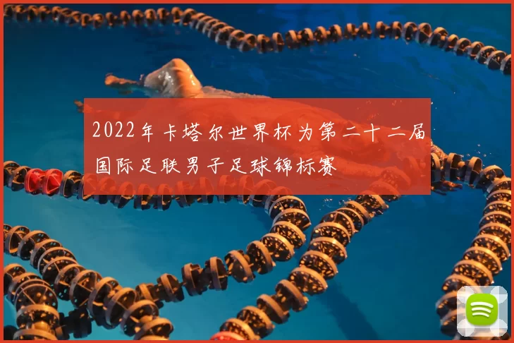 2022年卡塔尔世界杯为第二十二届国际足联男子足球锦标赛