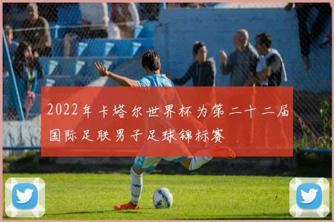 2022年卡塔尔世界杯为第二十二届国际足联男子足球锦标赛