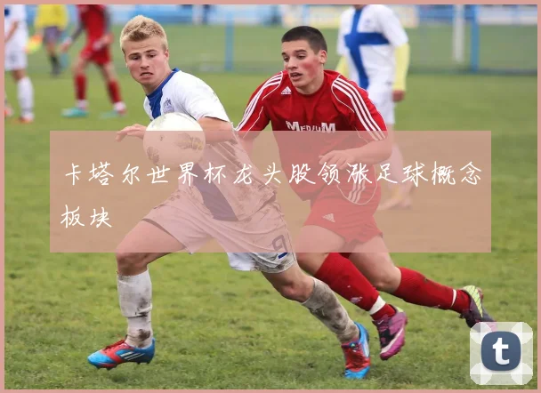 卡塔尔世界杯龙头股领涨足球概念板块