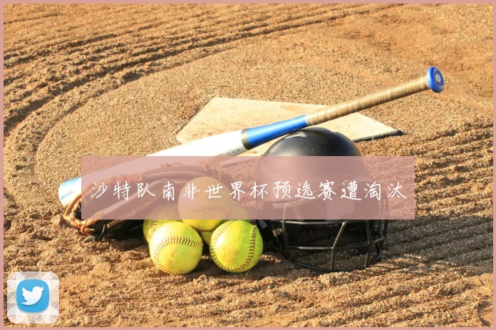 沙特队南非世界杯预选赛遭淘汰